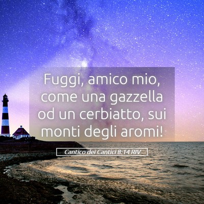 Picture 05 - Cantico dei Cantici 8:14 RIV - Fuggi, amico mio, come una gazzella od un - Bible Verse Picture