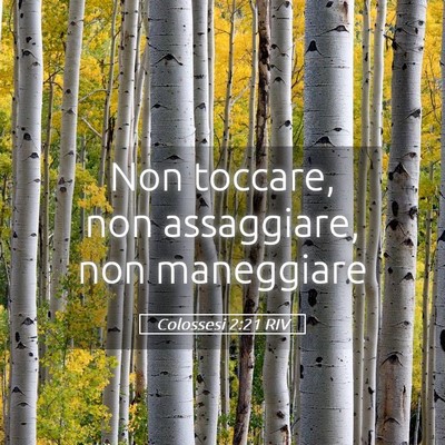 Picture 05 - Colossesi 2:21 RIV - Non toccare, non assaggiare, non - Bible Verse Picture