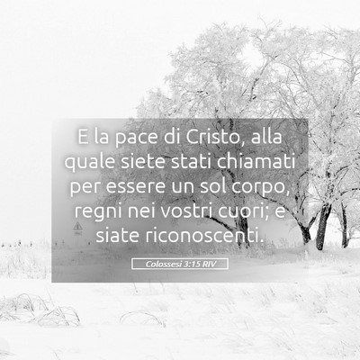 Picture 05 - Colossesi 3:15 RIV - E la pace di Cristo, alla quale siete stati - Bible Verse Picture