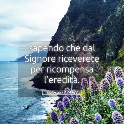 Picture 05 - Colossesi 3:24 RIV - sapendo che dal Signore riceverete per ricompensa - Bible Verse Picture