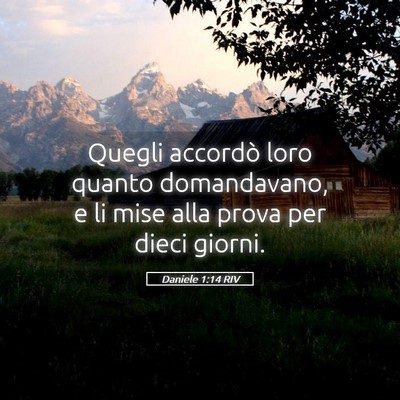 Picture 05 - Daniele 1:14 RIV - Quegli accordò loro quanto domandavano, e li - Bible Verse Picture