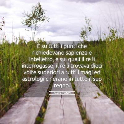 Picture 05 - Daniele 1:20 RIV - E su tutti i punti che richiedevano sapienza e - Bible Verse Picture