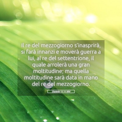 Picture 05 - Daniele 11:11 RIV - Il re del mezzogiorno s’inasprirà, si farà - Bible Verse Picture