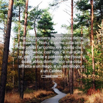 Picture 05 - Daniele 2:10 RIV - I Caldei risposero in presenza del re, e dissero: - Bible Verse Picture