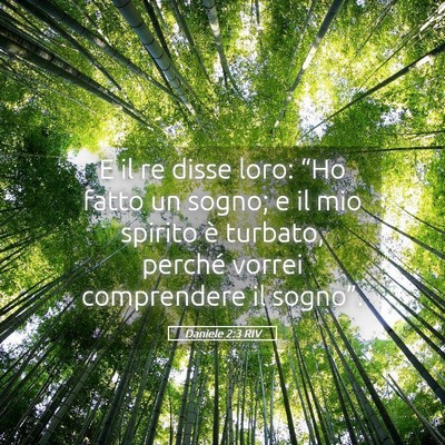 Picture 05 - Daniele 2:3 RIV - E il re disse loro: “Ho fatto un sogno; e il - Bible Verse Picture