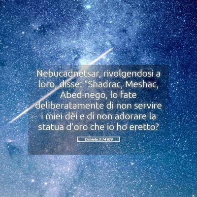 Picture 05 - Daniele 3:14 RIV - Nebucadnetsar, rivolgendosi a loro, disse: - Bible Verse Picture