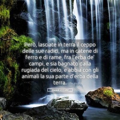 Picture 05 - Daniele 4:15 RIV - Però, lasciate in terra il ceppo delle sue - Bible Verse Picture