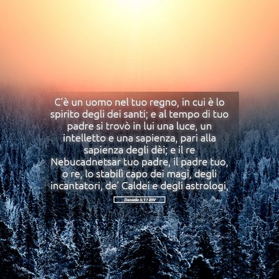 Picture 05 - Daniele 5:11 RIV - C’è un uomo nel tuo regno, in cui è lo - Bible Verse Picture