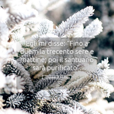 Picture 05 - Daniele 8:14 RIV - Egli mi disse: “Fino a duemila trecento sere e - Bible Verse Picture