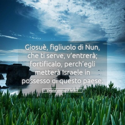 Picture 05 - Deuteronomio 1:38 RIV - Giosuè, figliuolo di Nun, che ti serve, - Bible Verse Picture