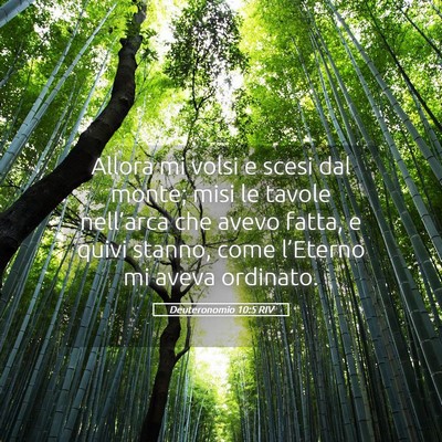 Picture 05 - Deuteronomio 10:5 RIV - Allora mi volsi e scesi dal monte; misi le tavole - Bible Verse Picture