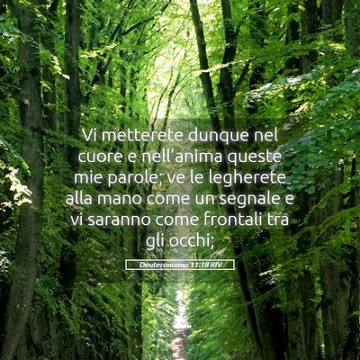 Picture 05 - Deuteronomio 11:18 RIV - Vi metterete dunque nel cuore e nell’anima - Bible Verse Picture