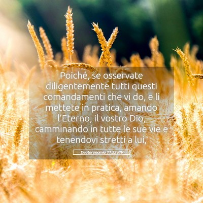 Picture 05 - Deuteronomio 11:22 RIV - Poiché, se osservate diligentemente tutti questi - Bible Verse Picture