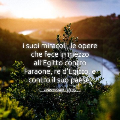 Picture 05 - Deuteronomio 11:3 RIV - i suoi miracoli, le opere che fece in mezzo - Bible Verse Picture