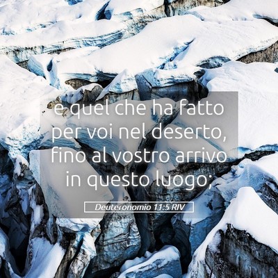 Picture 05 - Deuteronomio 11:5 RIV - e quel che ha fatto per voi nel deserto, fino al - Bible Verse Picture