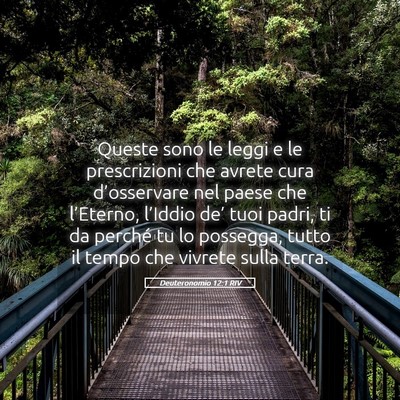 Picture 05 - Deuteronomio 12:1 RIV - Queste sono le leggi e le prescrizioni che avrete - Bible Verse Picture