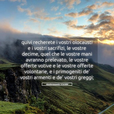 Picture 05 - Deuteronomio 12:6 RIV - quivi recherete i vostri olocausti e i vostri - Bible Verse Picture