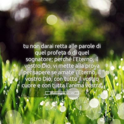 Picture 05 - Deuteronomio 13:3 RIV - tu non darai retta alle parole di quel profeta o - Bible Verse Picture