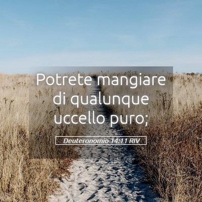 Picture 05 - Deuteronomio 14:11 RIV - Potrete mangiare di qualunque uccello - Bible Verse Picture