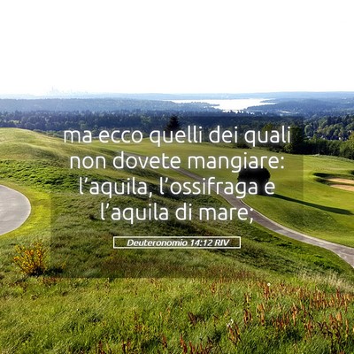 Picture 05 - Deuteronomio 14:12 RIV - ma ecco quelli dei quali non dovete mangiare: - Bible Verse Picture