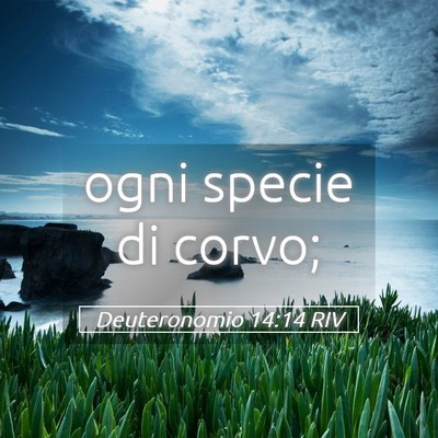 Picture 05 - Deuteronomio 14:14 RIV - ogni specie di - Bible Verse Picture