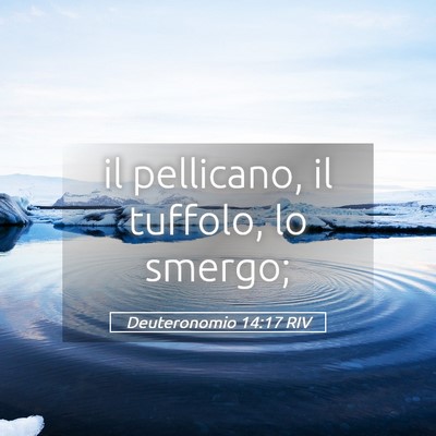 Picture 05 - Deuteronomio 14:17 RIV - il pellicano, il tuffolo, lo - Bible Verse Picture