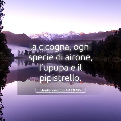 Picture 05 - Deuteronomio 14:18 RIV - la cicogna, ogni specie di airone, l’upupa e il - Bible Verse Picture
