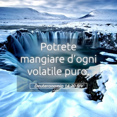 Picture 05 - Deuteronomio 14:20 RIV - Potrete mangiare d’ogni volatile - Bible Verse Picture