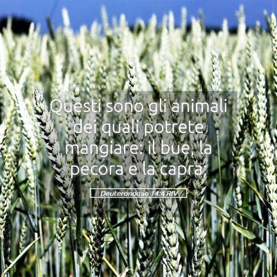 Picture 05 - Deuteronomio 14:4 RIV - Questi sono gli animali dei quali potrete - Bible Verse Picture