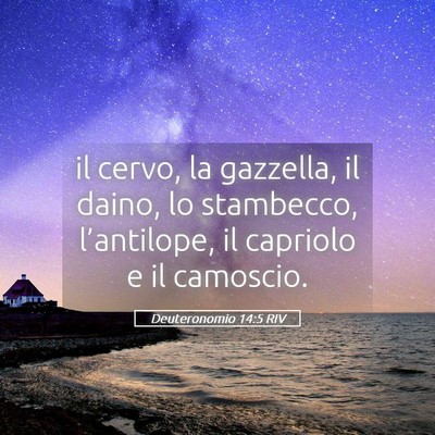Picture 05 - Deuteronomio 14:5 RIV - il cervo, la gazzella, il daino, lo stambecco, - Bible Verse Picture