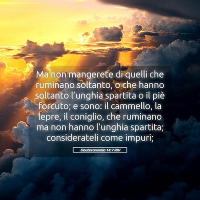 Picture 05 - Deuteronomio 14:7 RIV - Ma non mangerete di quelli che ruminano soltanto, - Bible Verse Picture