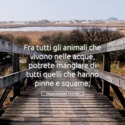 Picture 05 - Deuteronomio 14:9 RIV - Fra tutti gli animali che vivono nelle acque, - Bible Verse Picture