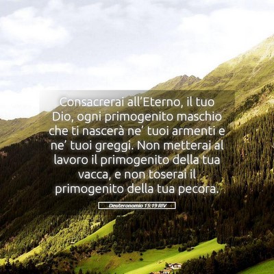 Picture 05 - Deuteronomio 15:19 RIV - Consacrerai all’Eterno, il tuo Dio, ogni - Bible Verse Picture