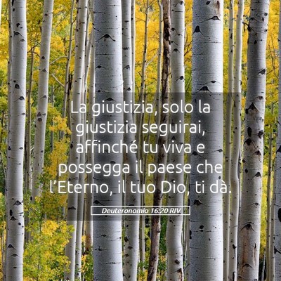 Picture 05 - Deuteronomio 16:20 RIV - La giustizia, solo la giustizia seguirai, - Bible Verse Picture