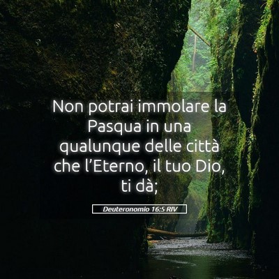 Picture 05 - Deuteronomio 16:5 RIV - Non potrai immolare la Pasqua in una qualunque - Bible Verse Picture