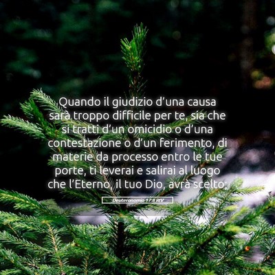 Picture 05 - Deuteronomio 17:8 RIV - Quando il giudizio d’una causa sarà troppo - Bible Verse Picture