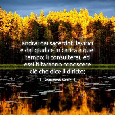 Picture 05 - Deuteronomio 17:9 RIV - andrai dai sacerdoti levitici e dal giudice in - Bible Verse Picture