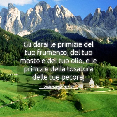 Picture 05 - Deuteronomio 18:4 RIV - Gli darai le primizie del tuo frumento, del tuo - Bible Verse Picture