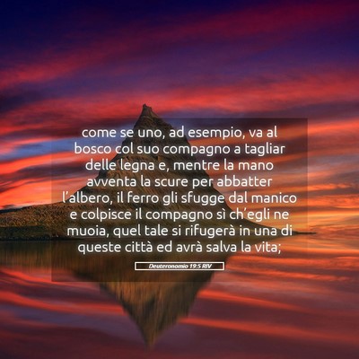 Picture 05 - Deuteronomio 19:5 RIV - come se uno, ad esempio, va al bosco col suo - Bible Verse Picture