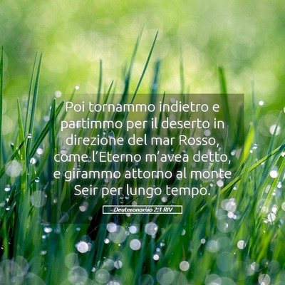 Picture 05 - Deuteronomio 2:1 RIV - Poi tornammo indietro e partimmo per il deserto - Bible Verse Picture
