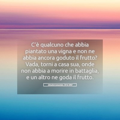 Picture 05 - Deuteronomio 20:6 RIV - C’è qualcuno che abbia piantato una vigna e - Bible Verse Picture