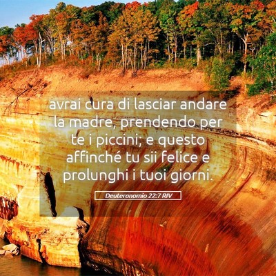 Picture 05 - Deuteronomio 22:7 RIV - avrai cura di lasciar andare la madre, prendendo - Bible Verse Picture
