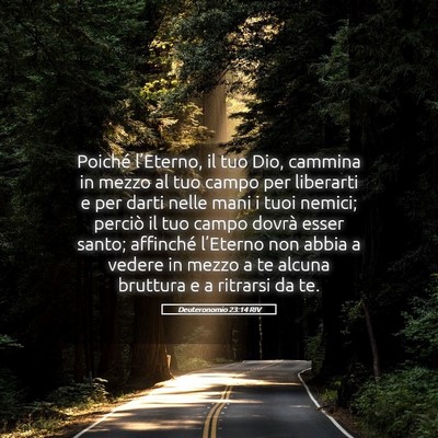 Picture 05 - Deuteronomio 23:14 RIV - Poiché l’Eterno, il tuo Dio, cammina in mezzo - Bible Verse Picture