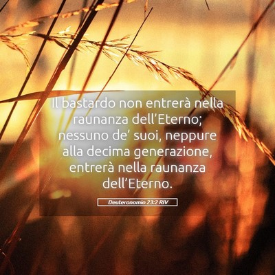 Picture 05 - Deuteronomio 23:2 RIV - Il bastardo non entrerà nella raunanza - Bible Verse Picture