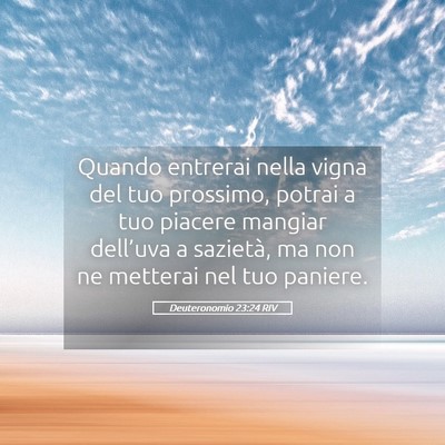 Picture 05 - Deuteronomio 23:24 RIV - Quando entrerai nella vigna del tuo prossimo, - Bible Verse Picture