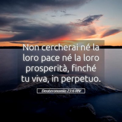 Picture 05 - Deuteronomio 23:6 RIV - Non cercherai né la loro pace né la loro - Bible Verse Picture