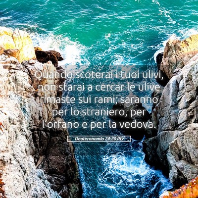 Picture 05 - Deuteronomio 24:20 RIV - Quando scoterai i tuoi ulivi, non starai a cercar - Bible Verse Picture