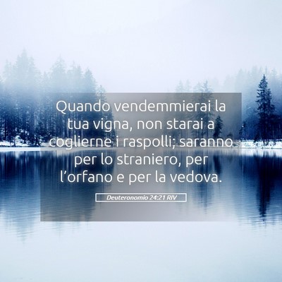 Picture 05 - Deuteronomio 24:21 RIV - Quando vendemmierai la tua vigna, non starai a - Bible Verse Picture