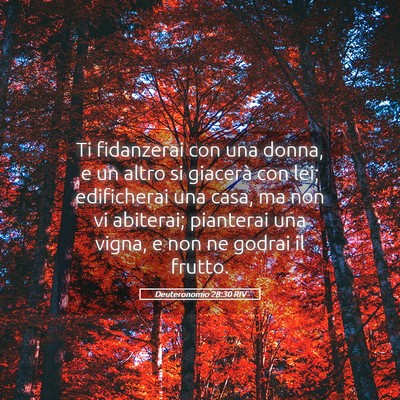 Picture 05 - Deuteronomio 28:30 RIV - Ti fidanzerai con una donna, e un altro si - Bible Verse Picture