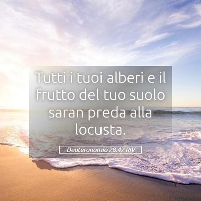 Picture 05 - Deuteronomio 28:42 RIV - Tutti i tuoi alberi e il frutto del tuo suolo - Bible Verse Picture